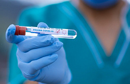 � ������� ������ ���� ����� ������� ������������ - ��� 824