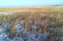 � ������� ������������� ������� ��������� 