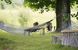 � ��������� ������� ������������� ������������ ������ � ��������� �� 1 ���� 