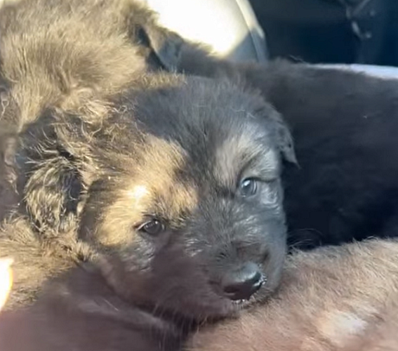 � ����-��� ������ � ������ � ������ ������ �� ������ ��� ������