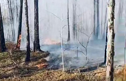 ������� ������ ������� � ������� ��������� 5 ����� ��