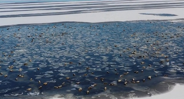 � ������� �� ������ ��������� ����� ��� ����� ����