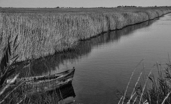 � ������� ������ �������, ���������� �� ���� ��������� ����