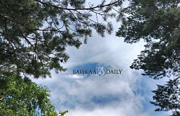 � ������� ����� ���������� ���� 