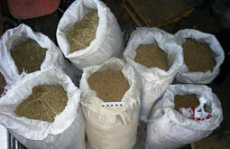 �����: �� ������ �������� ������� ������� �������� �������