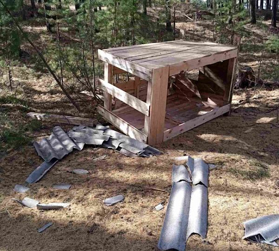 � ��������� ����-��� ������� �������� ������