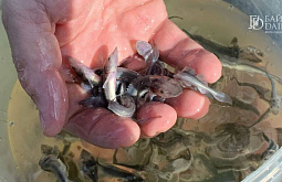 � ������� � ������� ��������� ������� ������������ ������ 