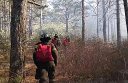 � ���������� ����� ��������� 28 ������� 