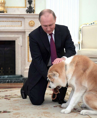 ����� ������� �������� ����������� ���� ������ ��� (����, �����) 