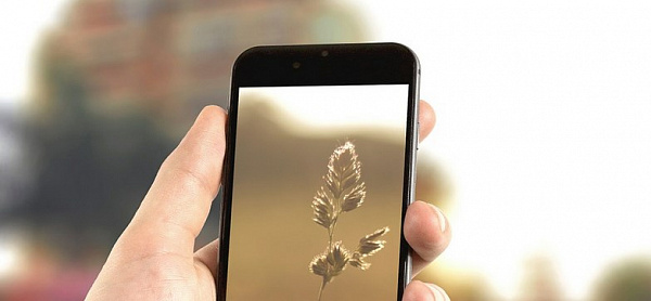 Уроженец Узбекистана украл у жительницы Бурятии iPhone 6