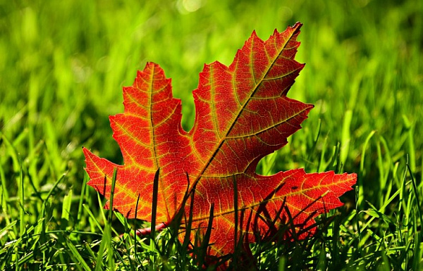 � ����-��� ������� ����� ������� ������