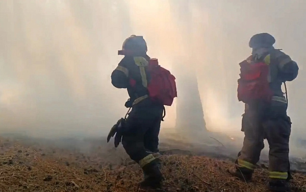 � ���� ��������� � ������� ������� �� ���������� ����� 