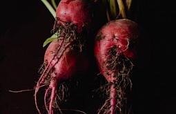 ��� ������� ���������� ������ ����� 