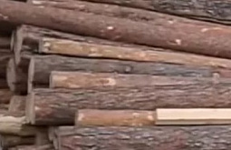 � �������� ���������� ���� � ����������� ���� 