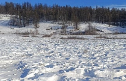 � ��������� ������� �� ������ ������� ������