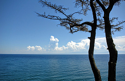 ������ ��� ���������� ���������� ������ �������� ����