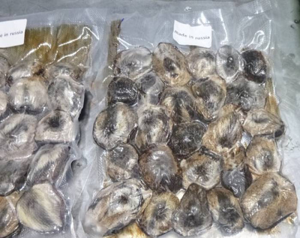 ����������� ������� ����� �������� ������� ������� �� ������� 