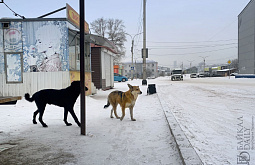 � ����������� ����-��� ����� ��������� �� ��������� �����