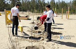 ����-������ ���� �������� ������ ����� ����� �������� (������������)