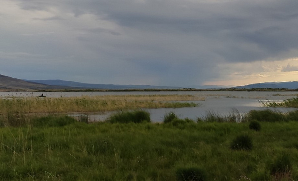 � ������� ������� 10-������ �������