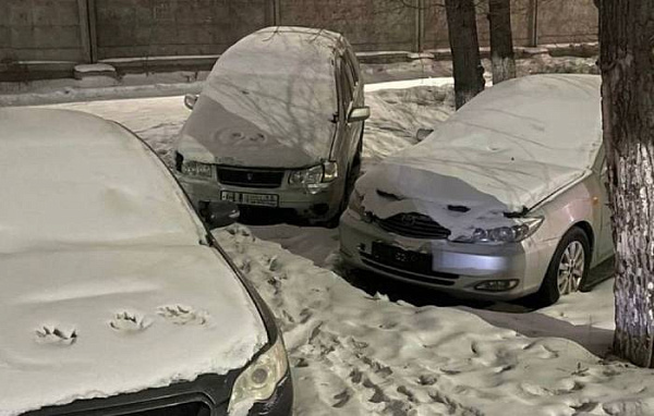 ������ ����-��� ������ ���������� ��������� ����������� 