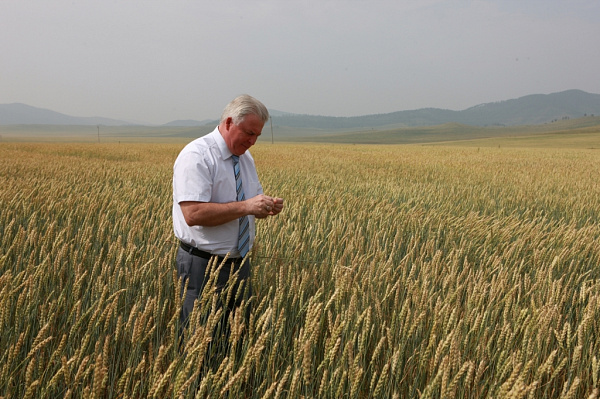 �������� ��������� �������,  ������ �� �� ���� �� ������