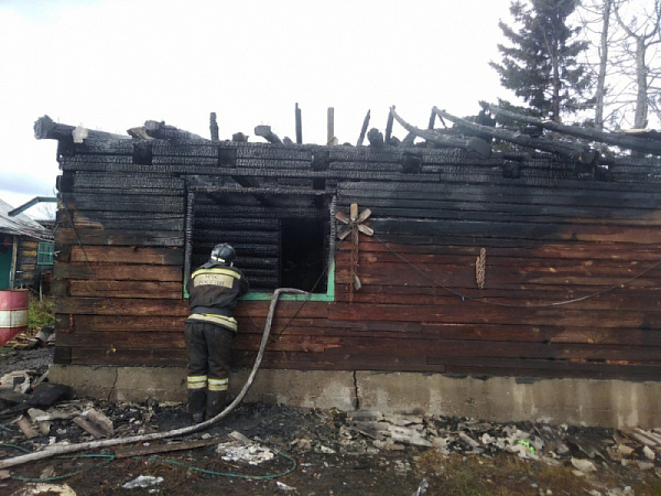 В Иркутской области на пожаре погибли трёхлетние девочки-близняшки  