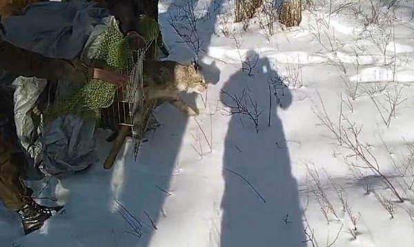 � ���������� ��������� ���� ������� �����