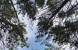 � ������� ������� ������ � ������� ������� ��� �������� 