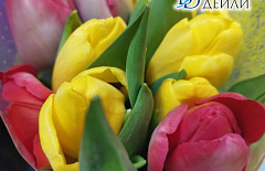 ��������� �������� ������� ����������� ��������������� �������