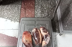 В Бурятию не пустили подозрительную говядину из Монголии