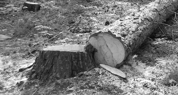 � ������� ����� ��������, ��-�� ���� ������ �������� ���������