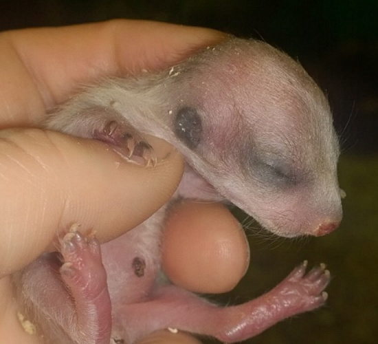 � ��������� ���������� ���� ��������� ��������