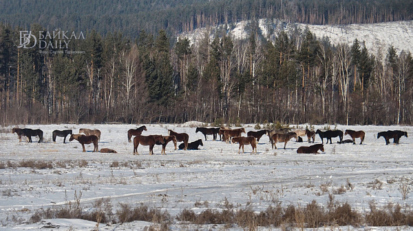 ����������� ���������� � ��������� ����� ������� �� ��������  