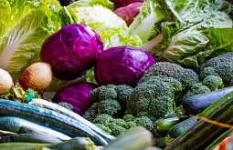 ������� ������� ���������� ������������ �� ��������� ������ 