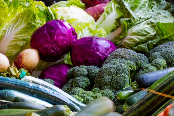 ������� ������� ���������� ������������ �� ��������� ������ 