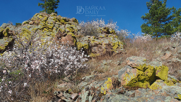 В Бурятию возвращается тепло
