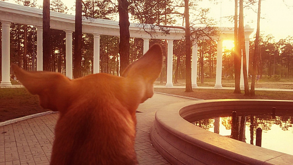  � ����-��� ��������� ��������� ������ ���������� ������� ������� �� ����