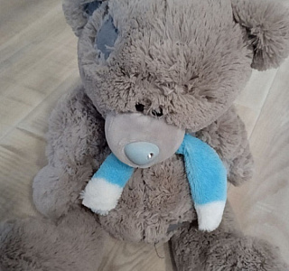 � �������, ������� ���������� ��������������� ������� � ����, �������-�� �������������  � ���