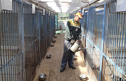 ����������� �������� ��������� �� ��������