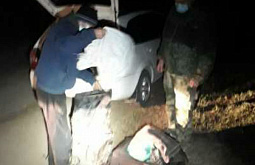 В Бурятии приезжий наркоман собирал коноплю возле госграницы 