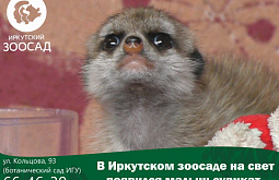 � ��������� ������� ������� ������� 