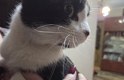 � ����-��� �������� �������������� ����� �������� ������� ������ ����������