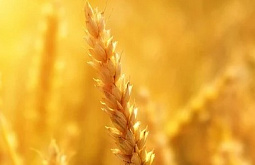 ������� ���� ����� ������������ ����� � ������, � ��������� ������� � ����� 