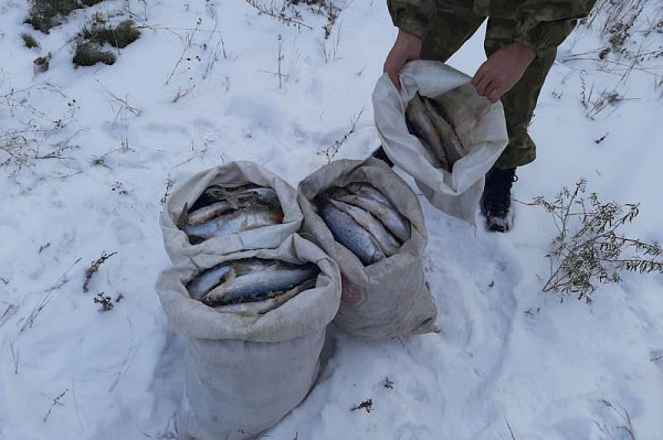 � ������� �������� ����� ����� � ������ 