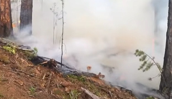 За сутки в Бурятии потушили три лесных пожара