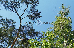 � ��������� ������� ���������������� ��������� 107 ����� ������ ������ 