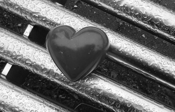 ���������� ������� �� �������� ����� ������� 