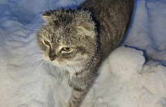 � ����-��� ������ ������ ������ ������� ��������� �����