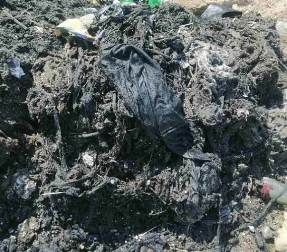 � ����-��� ������� ����� - ����� �� ���������� ������� �����������